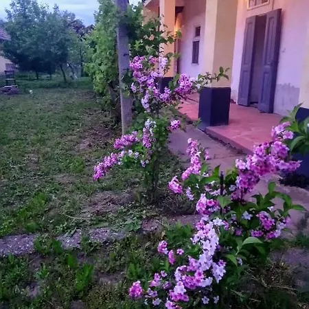 Szelid Tisza Valyog Vendeghaz *