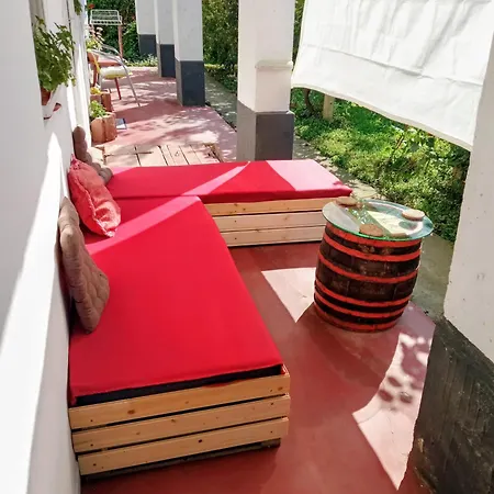 Szelíd Tisza Vályog